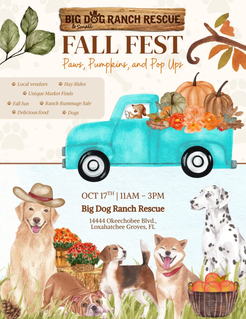 Sweet Basil Big Dog Ranch Rescue Saturday 10-17-26